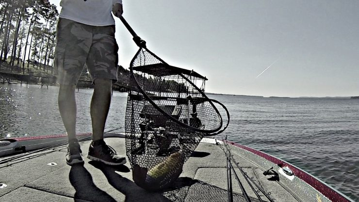 Best Fishing Nets for Landing Big Bass