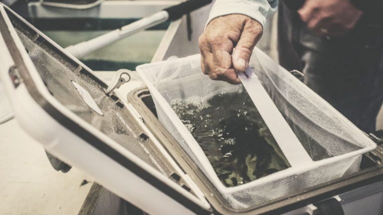 5 Best Live Bait Coolers for 2022 ⋆ Tackle Scout