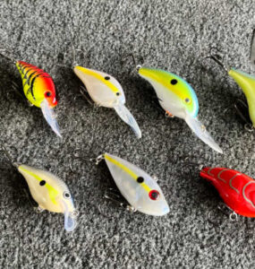 8 Types of Crankbaits displayed on a boat deck.